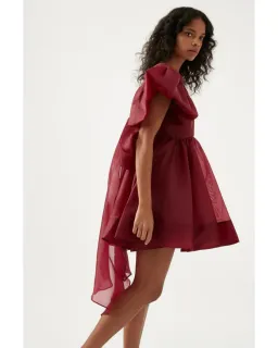 Aje Gretta Organza Mini Dress Burgundy Size AU 6 for rent on The Volte - image 2