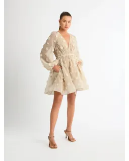 Sheike Taylor Dress in Beige Size AU 10 for rent on The Volte - image 1