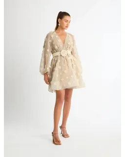Sheike Taylor Dress in Beige Size AU 10 for rent on The Volte - image 3