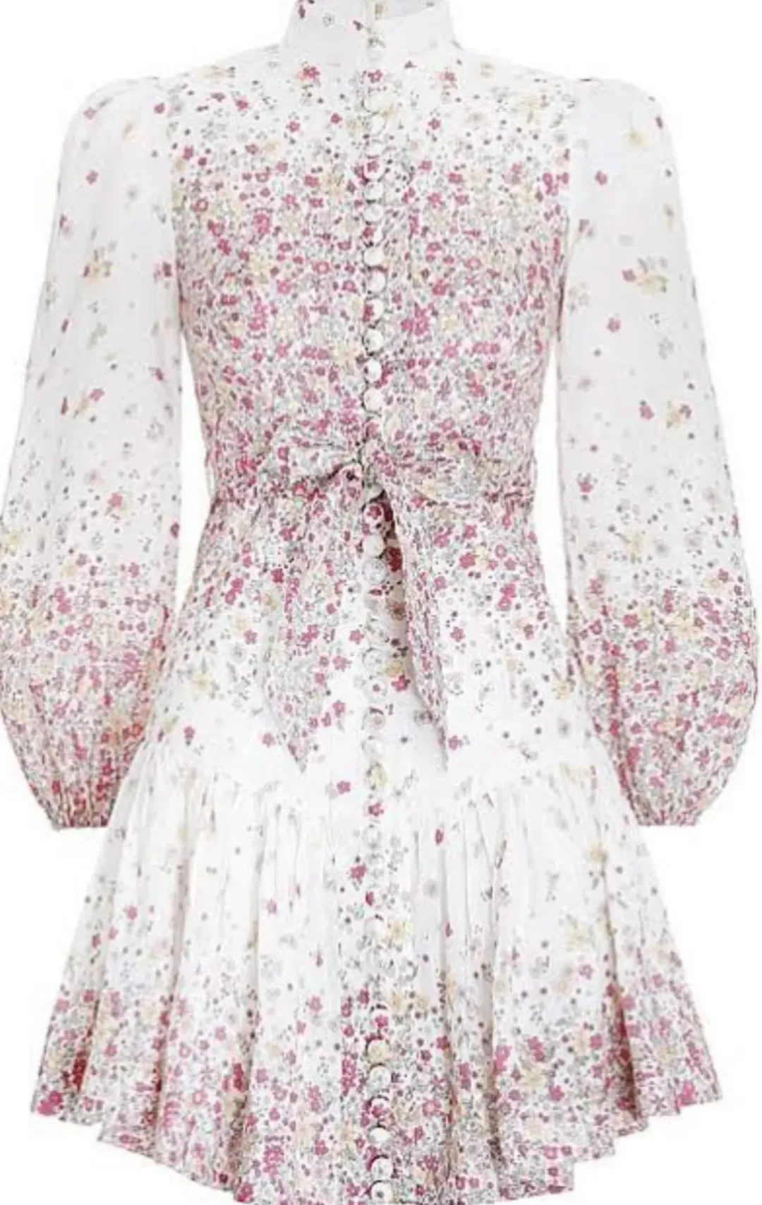 Zimmermann Carnaby Mini Dress Cerise Ditsy Floral Size 2 / AU 12 for rent on The Volte - main image
