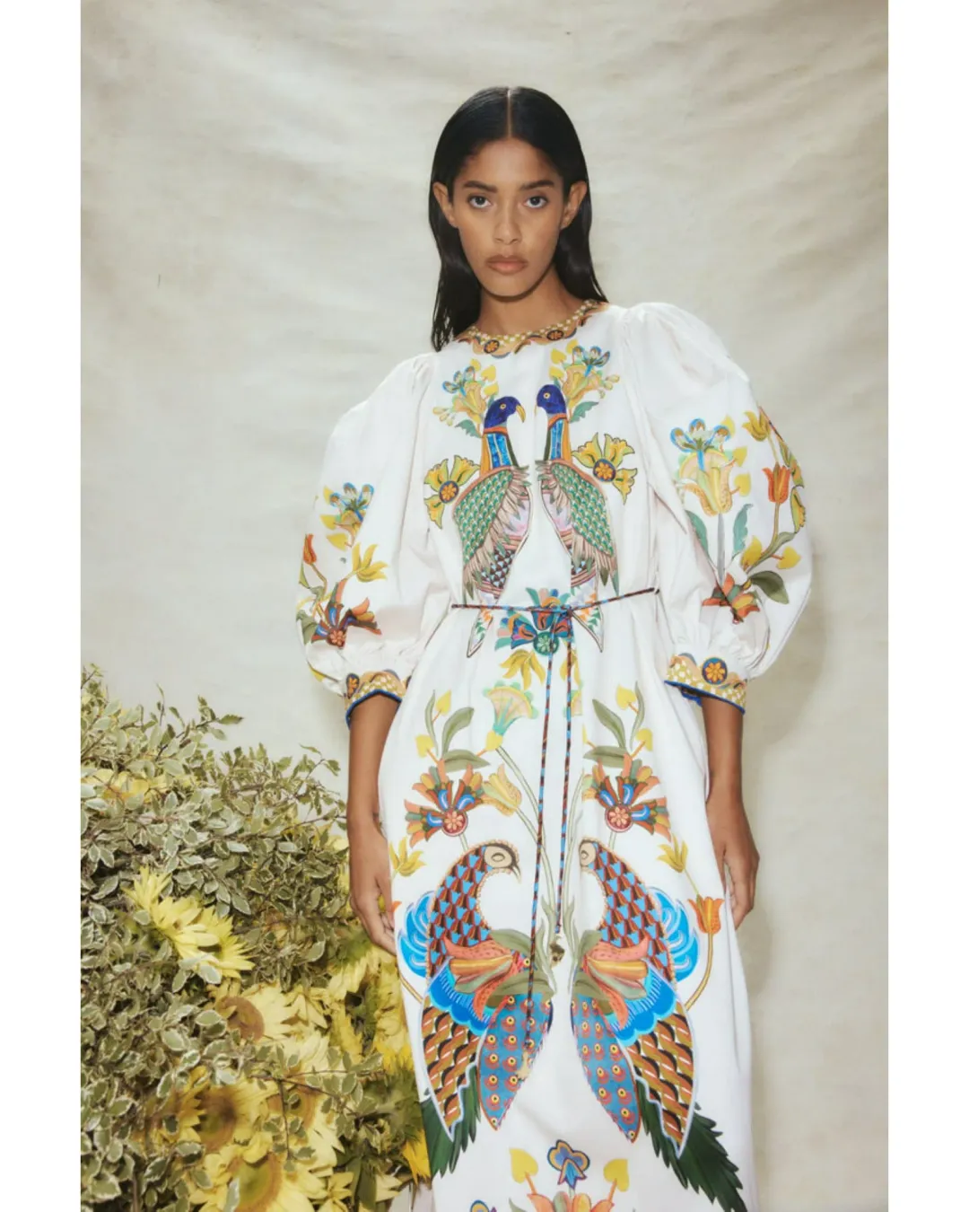 Alemais Effie Puff Sleeve Midi Dress Multi Size AU 12 for rent on The Volte - main image