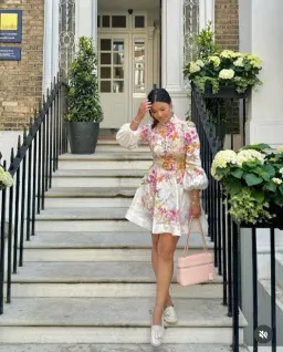 Zimmermann Natura Buttoned Mini Dress Kaleidoscope Garden Size 1 / AU 10 for rent on The Volte - image 3