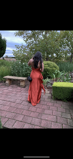 Nicolas - Silk Tie Front Orange dress Size 8 for rent on The Volte - image 3