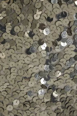 Rachel Gilbert Fleur Gown Gunmetal 6/AU18 for rent on The Volte - image 4