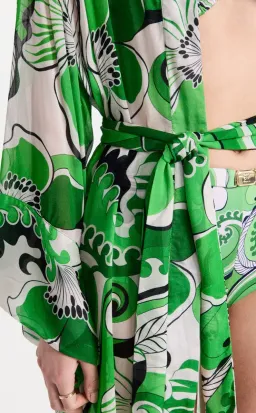 Cin Cin Oracle Sheer Robe Dress Fern Size 10/M for rent on The Volte - image 4