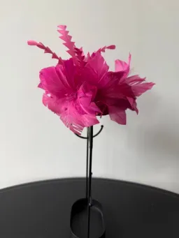 Gregory Ladner Headpiece with Feather Embellishment Pink One Size for rent on The Volte - image 3