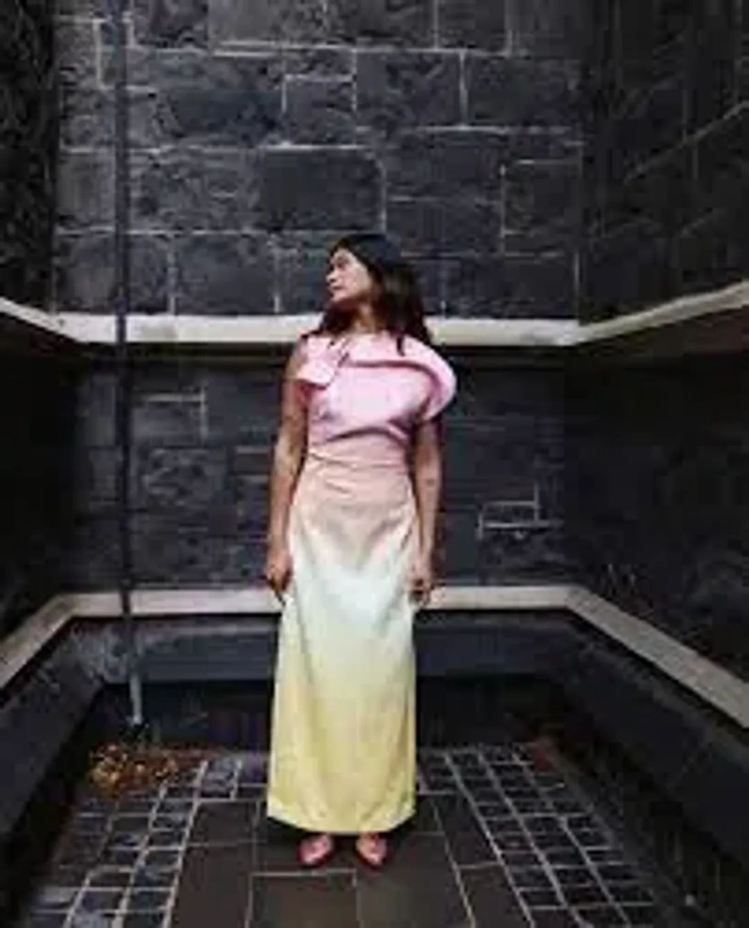 Acler - Warfield Dress - Size 8 for rent on The Volte - main image