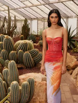 Rebecca Vallance Frida Corset Midi Dress Print Size AU 8 for rent on The Volte - image 3