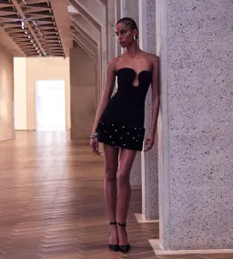 Rebecca Vallance Elaine Mini Dress Black Size 12 for rent on The Volte - image 1