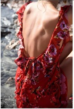 Rat and Boa Romy Dress Floral Size 6 for rent on The Volte - image 3