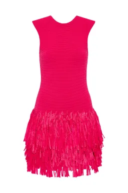 Aje Rushes Raffia Knit Mini Dress in Deep Fuchsia Size AU 8 for rent on The Volte - image 4