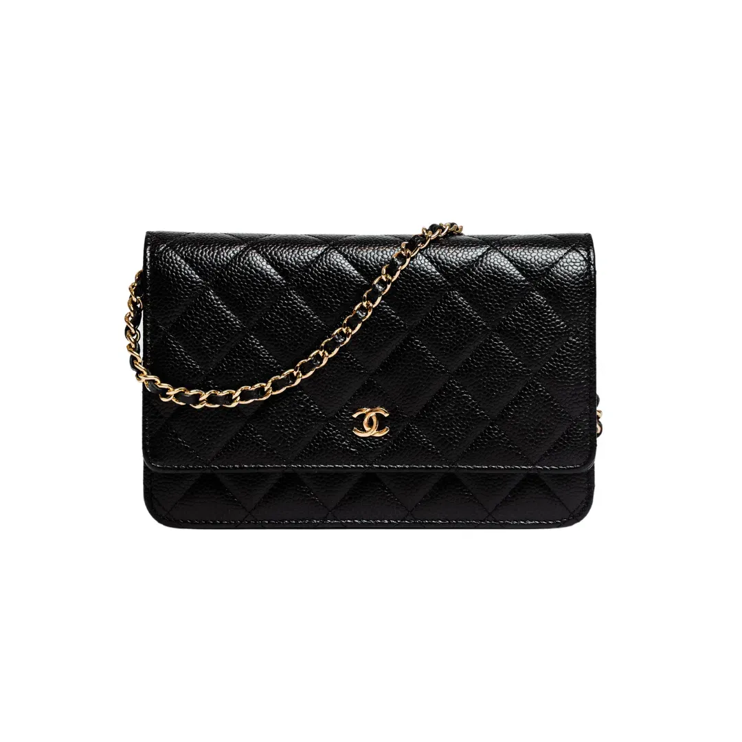 Chanel Classic Wallet On Chain Bag Black/Gold for rent on The Volte - main image