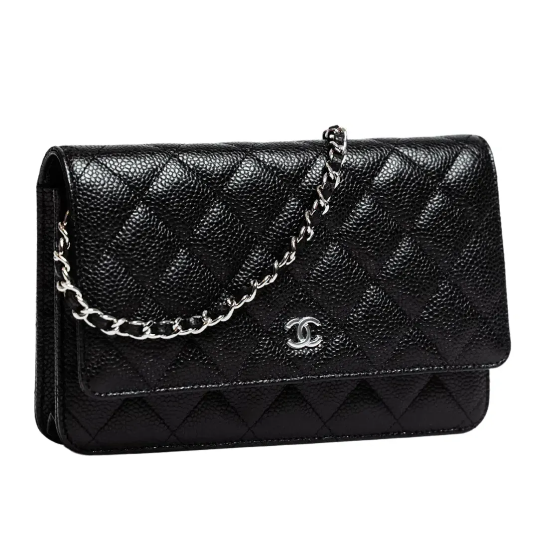 Chanel Classic Wallet On Chain Bag Black/Silver for rent on The Volte - main image
