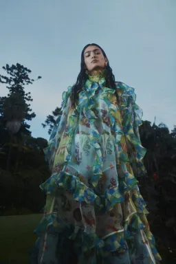 Alemais Guardian Ruffled Silk Organza Gown Size 10 Au for rent on The Volte - image 11