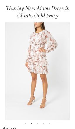 Thurley New Moon Dress Blush 8 for rent on The Volte - image 5