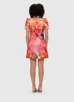 Leo Lin Brooke Mini Dress Floral Size 12 for rent on The Volte - image 2