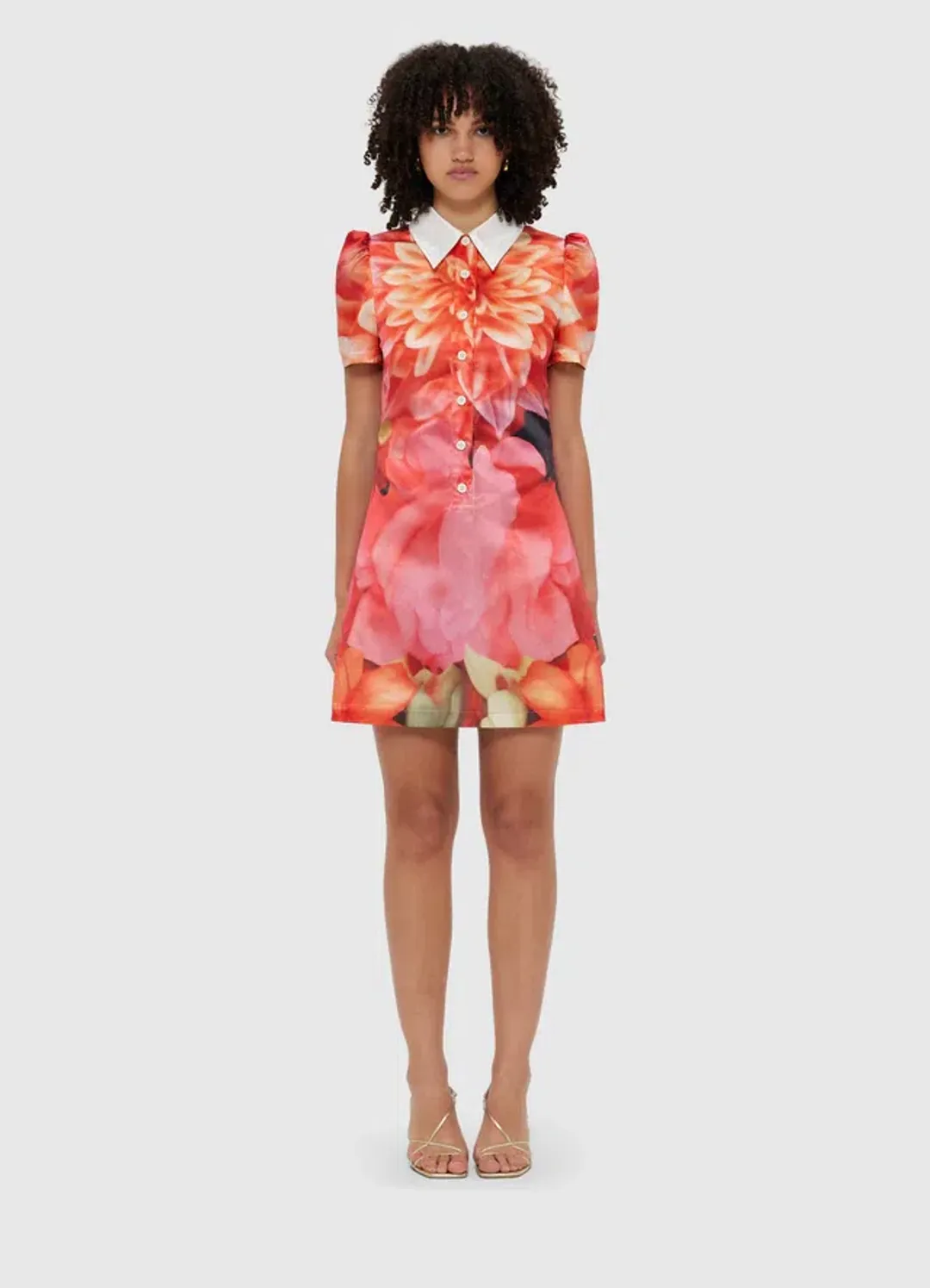 Leo Lin Brooke Mini Dress Floral Size 12 for rent on The Volte - main image