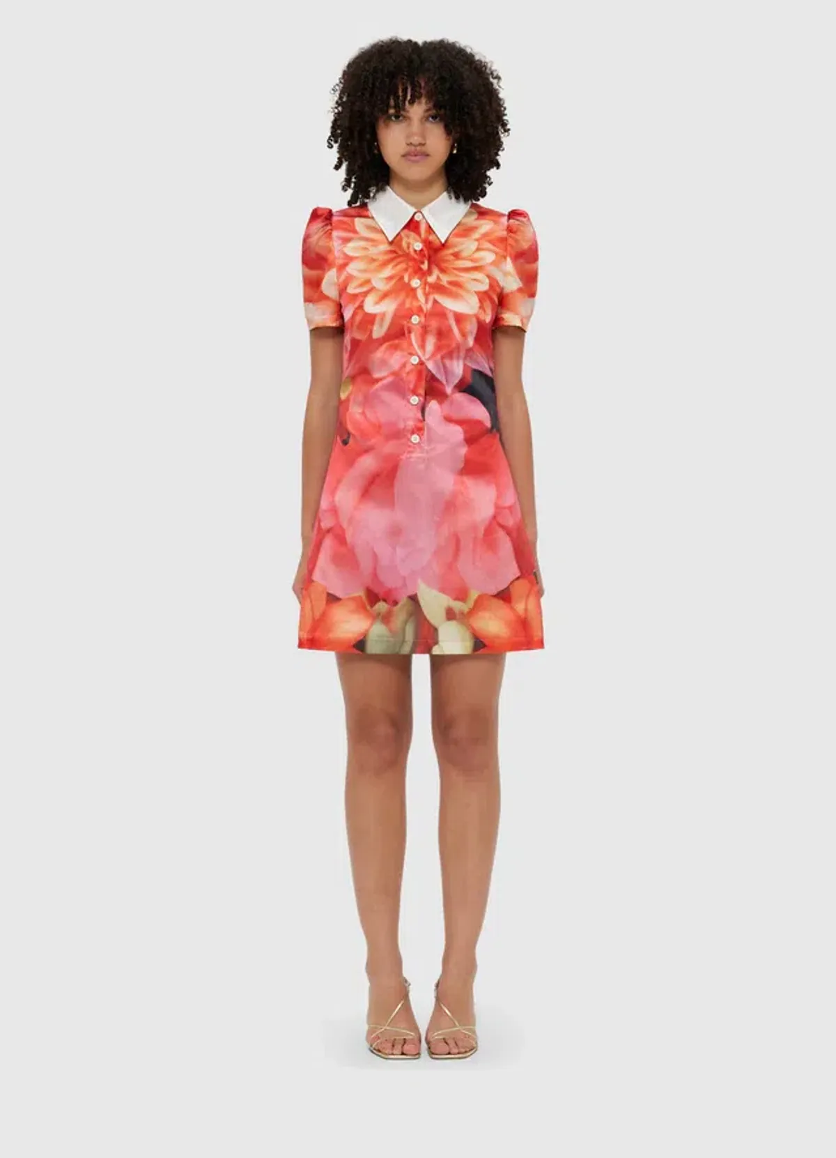 Leo Lin Brooke Mini Dress Floral Size 12 - Image 1