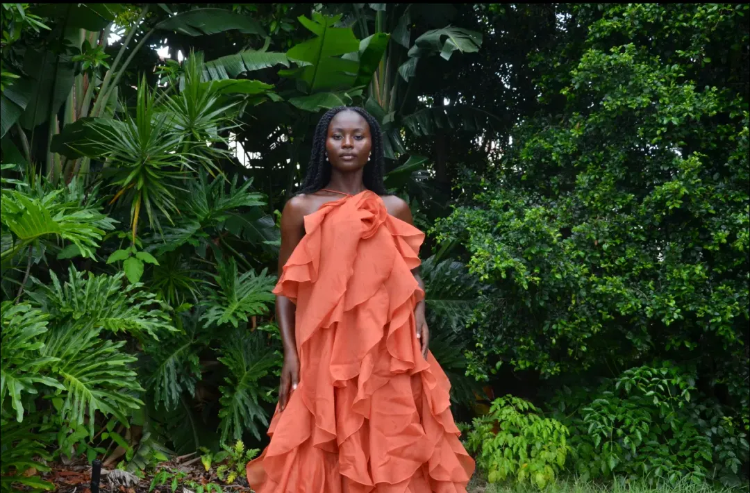 Pandorea Layered Maxi Dress - Coral Clay Aje size 12 for rent on The Volte - main image