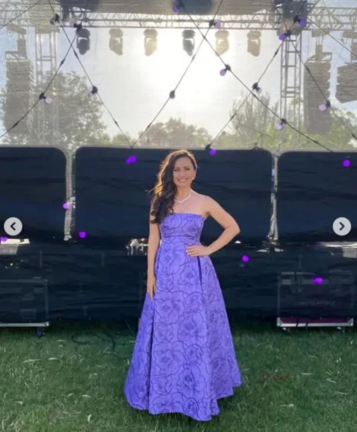 Leo Lin Nora Bustier Maxi Dress in Lavender Size AU 16 - Image 2