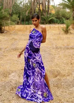 Rat & Boa Simonetta Dress Print Size XS / AU 6 for rent on The Volte - image 1