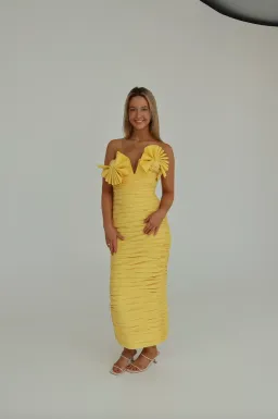 Rachel Gilbert Jensen Dress Yellow Size 2/Au 10 for rent on The Volte - image 1