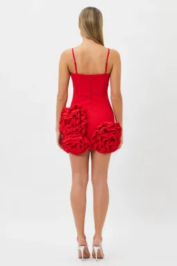Bianca and Bridgett Maria Mini Dress Red Size 12 for rent on The Volte - image 3