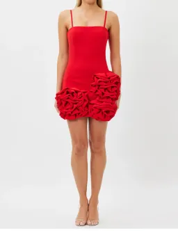Bianca and Bridgett Maria Mini Dress Red Size 12 for rent on The Volte - image 2