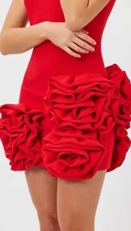 Bianca and Bridgett Maria Mini Dress Red Size 12 for rent on The Volte - image 5