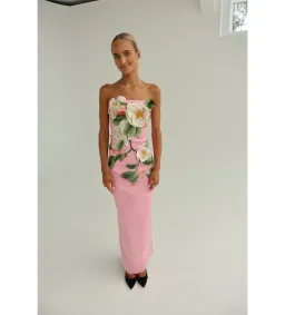 Leo Lin Rayna Appliqué Floral Bustier Maxi Dress Camelia Print AU10 for rent on The Volte - image 1
