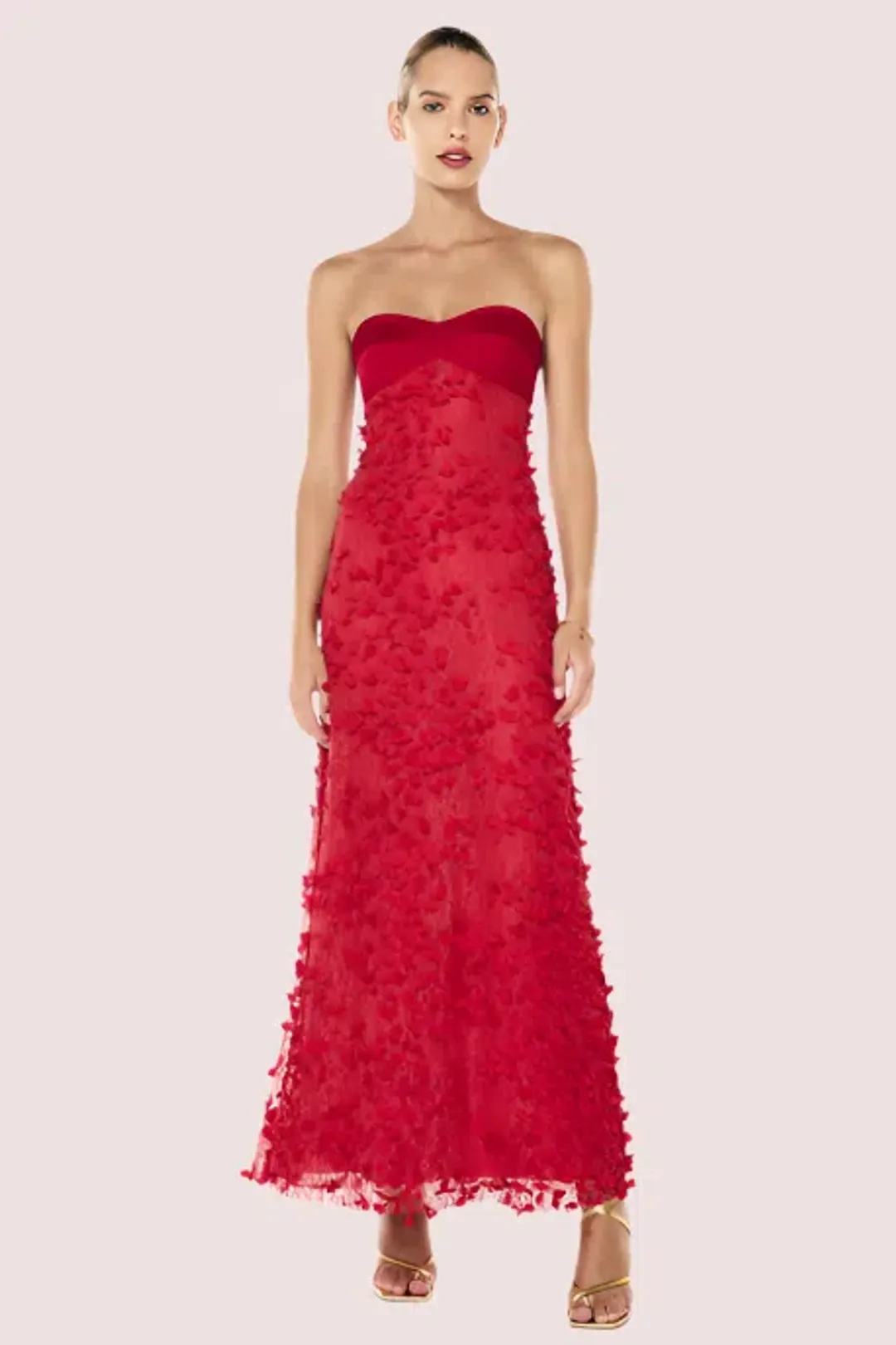 Manning Cartell Enchanment Balconette Gown Size 8 for rent on The Volte - main image