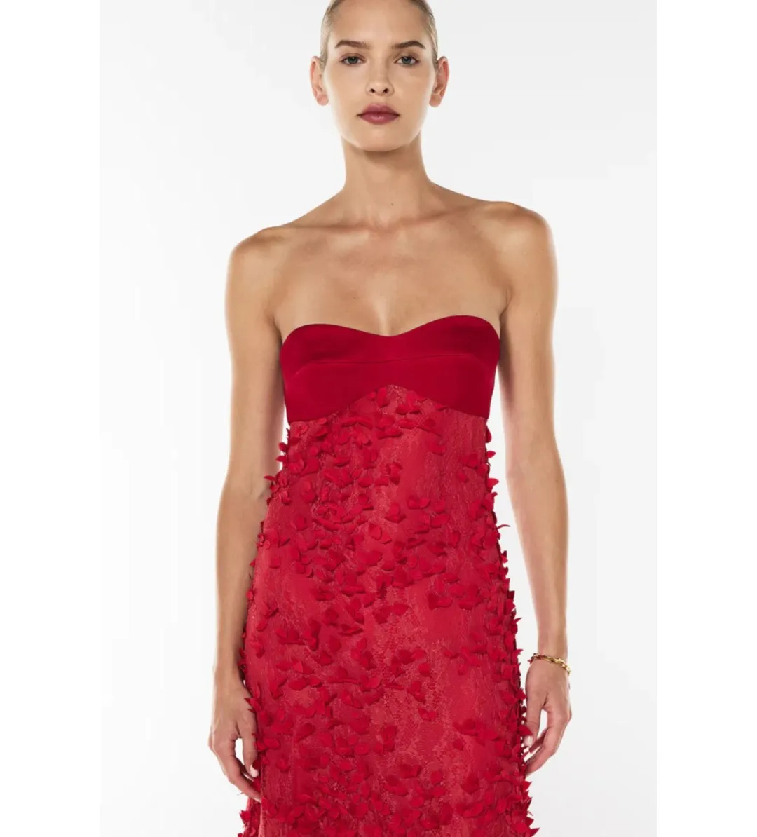 Manning Cartell Enchantment Balconette Maxi Dress Scarlet Red Size AU 6 for rent on The Volte - main image