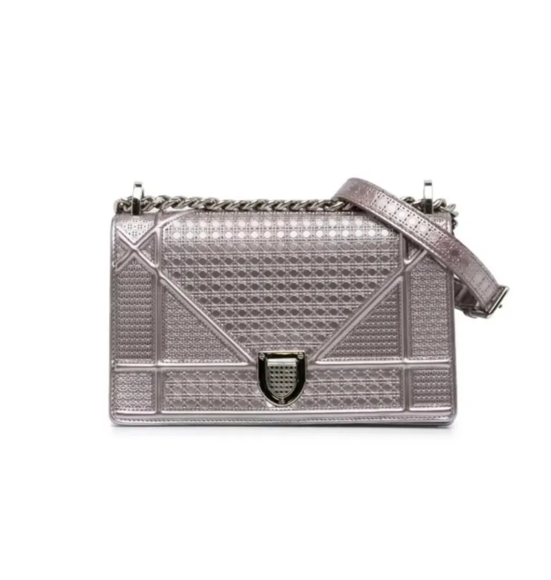 Dior Diorama Bag Silver for rent on The Volte - main image