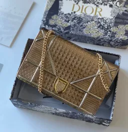 Dior Diorama Gold Bag for rent on The Volte - image 3