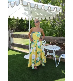 Leo Lin Lynn Bustier Midi Dress Joie Print in Sunshine Size 10 for rent on The Volte - image 1