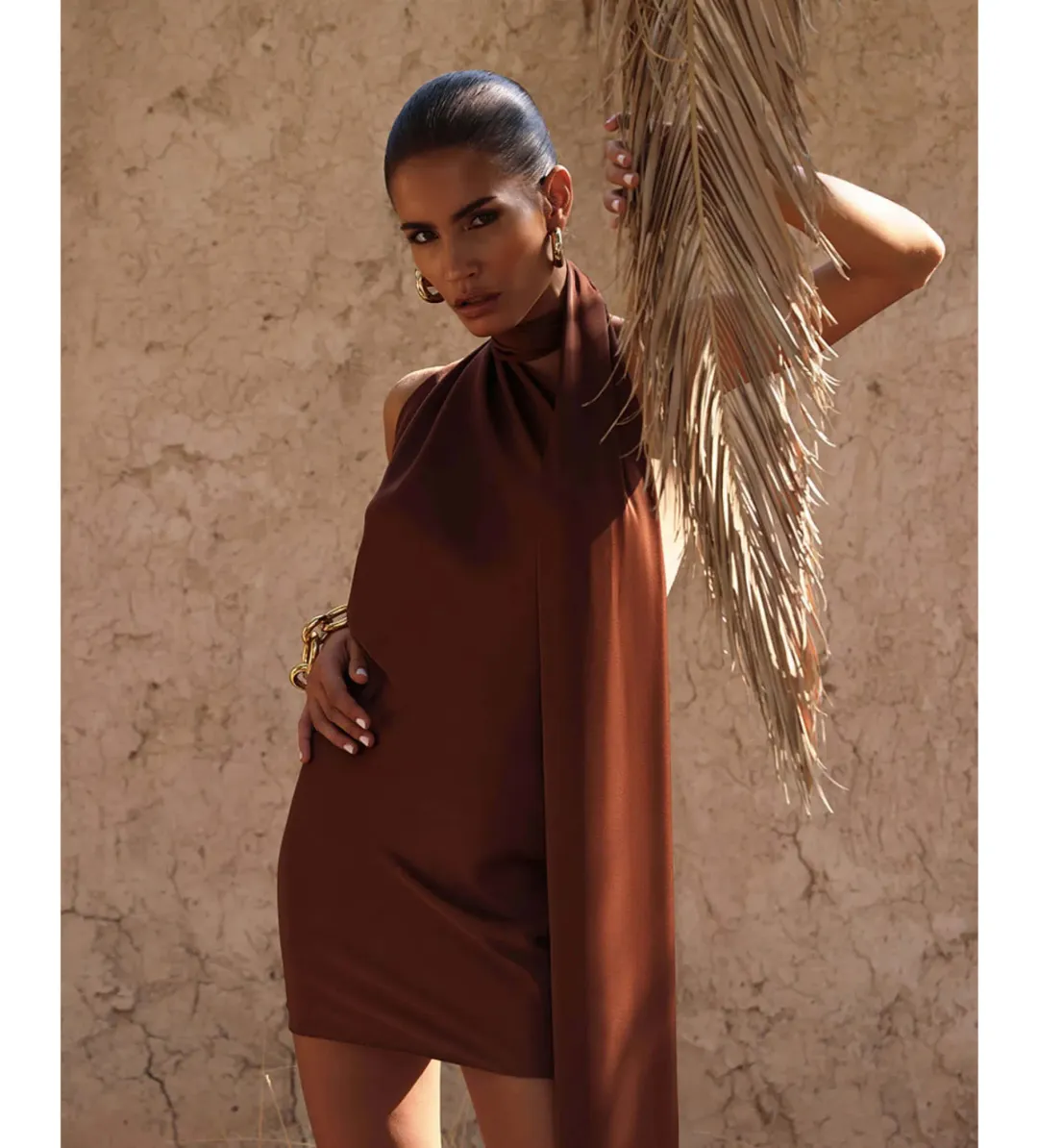 Rat & Boa Serafia Dress in Cocoa Size 6 for rent on The Volte - main image