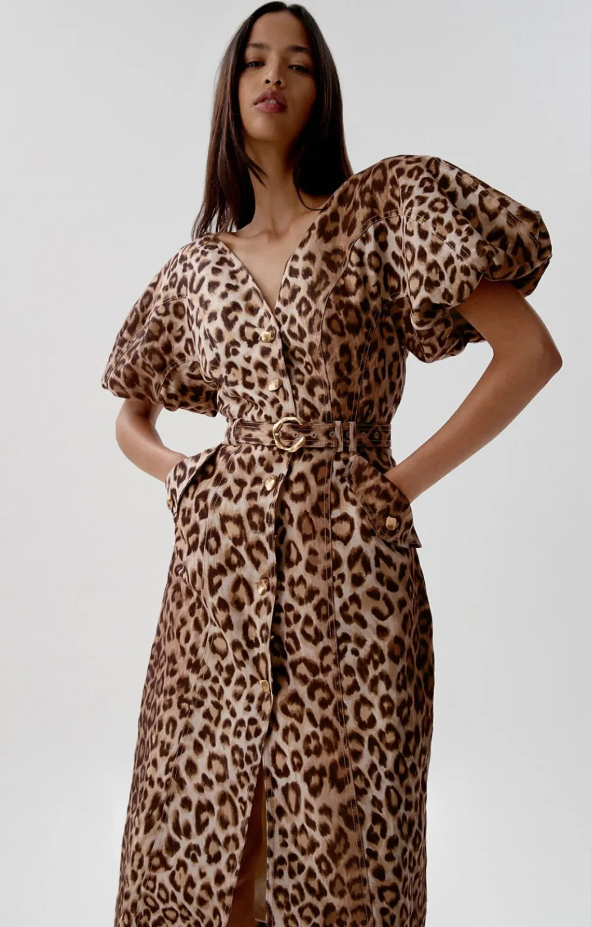 Aje Isabella Shirtdress in Leopard Print Size AU 14 - Image 3