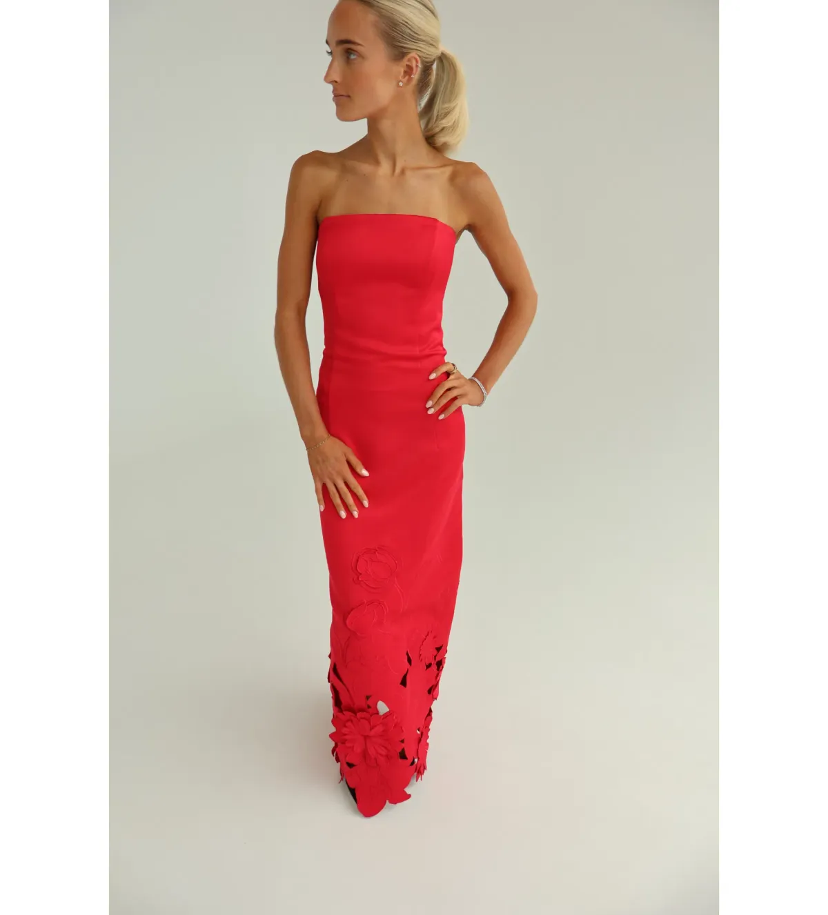 Leo Lin Rayna Appliqué Bustier Maxi Dress in Rosa Size AU10 - Image 2