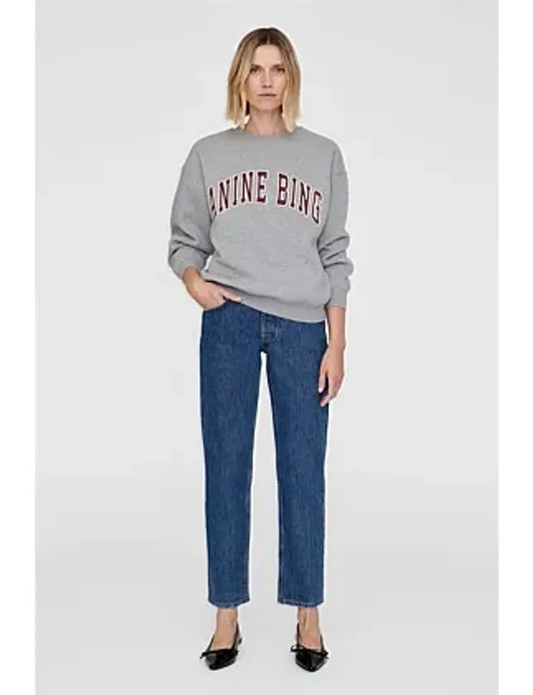 Anine Bing SPENCER CREWNECK SWEATSHIRT Size 8/XS for rent on The Volte - main image