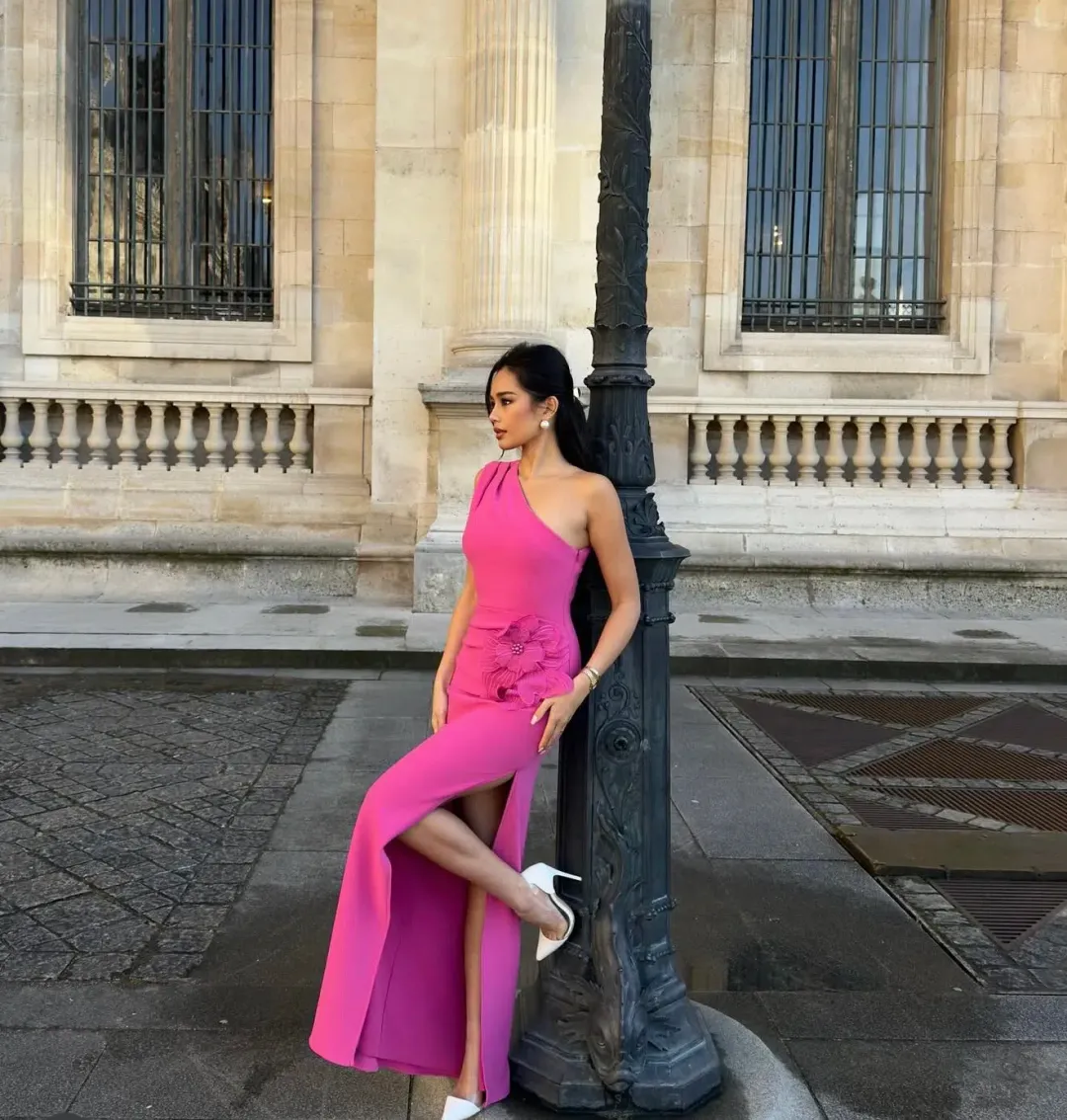 Elliatt Janelle One Shoulder Gown Pink Size 6 for rent on The Volte - main image