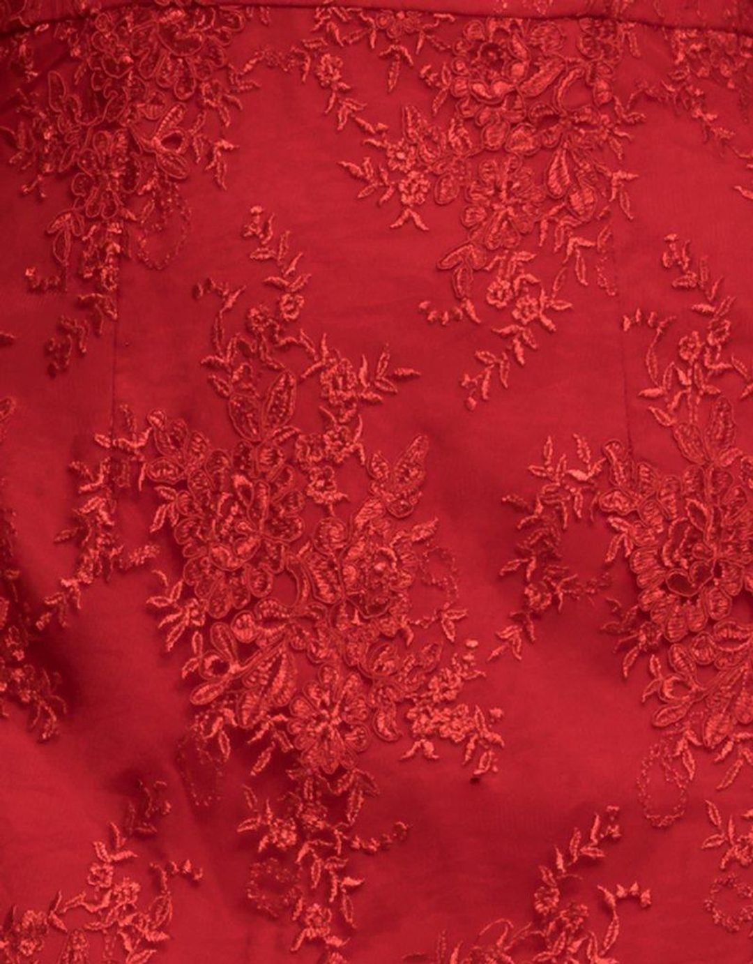 Bariano Emily Double Tier Lace Dress Red Size 8 for rent on The Volte - main image