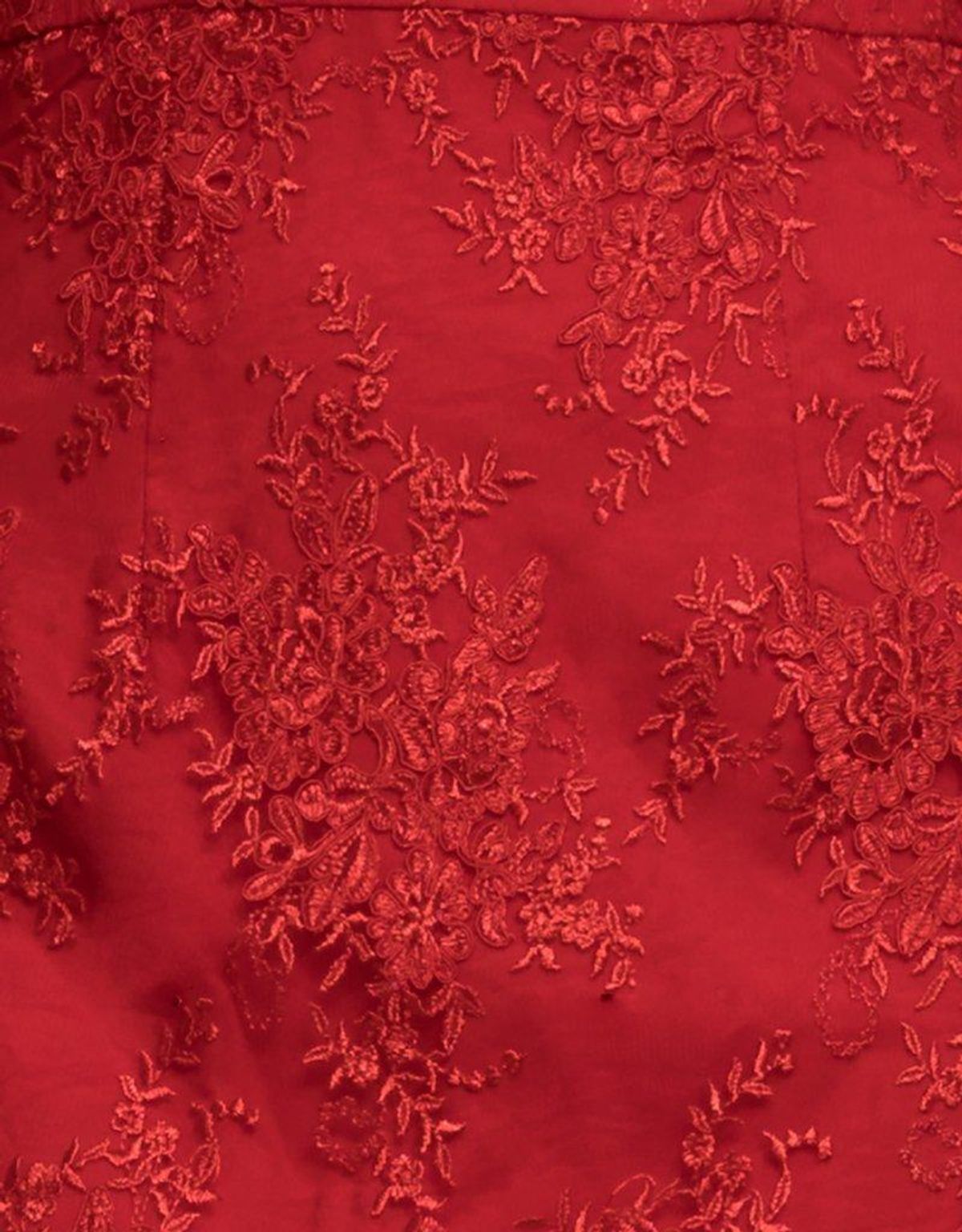 Bariano Emily Double Tier Lace Dress Red Size 8 - Image 4