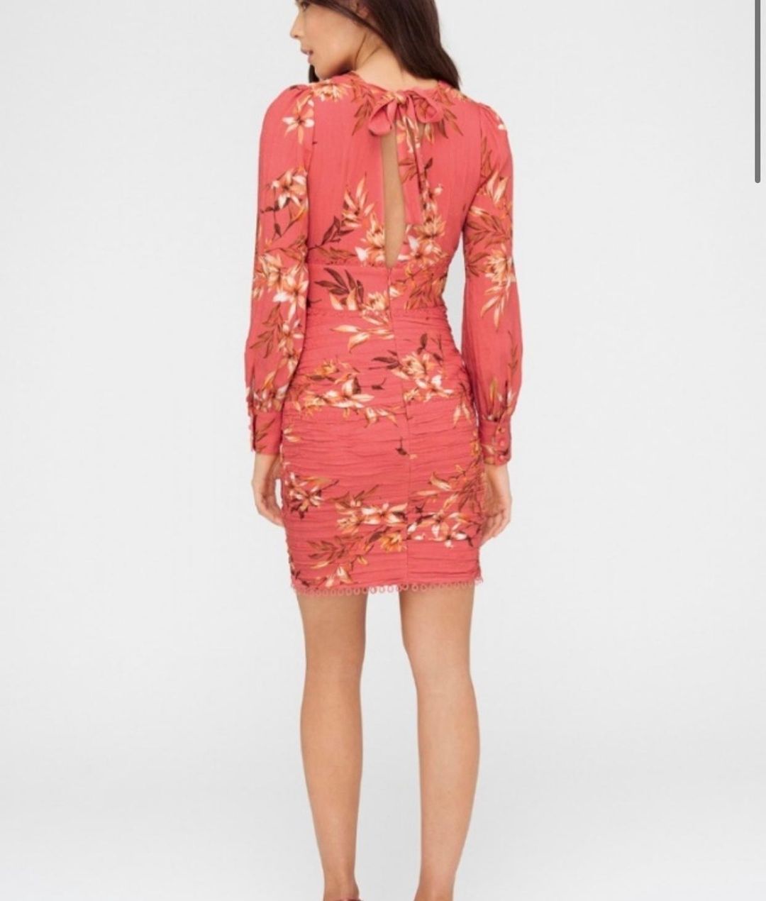 Sheike Jasmine Dress Size 10 for rent on The Volte - main image