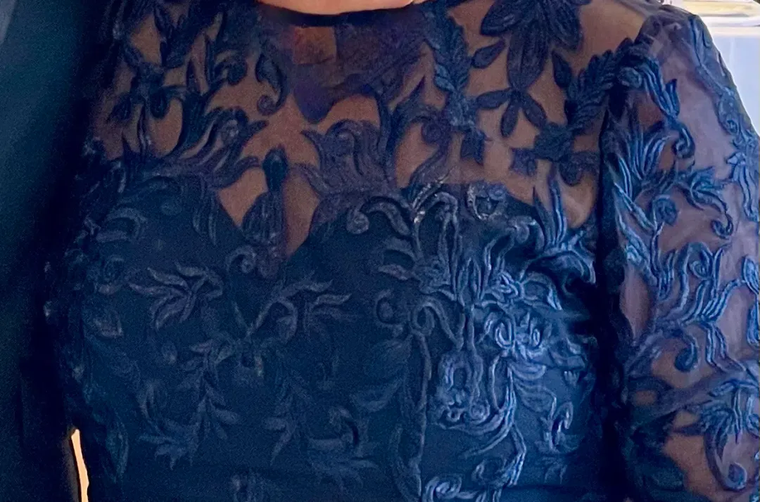 Formal Gown by Bariano Navy Lace 3/4 sleeves tapered length for rent on The Volte - main image