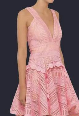 Thurley Haylleys Comet Dress Pink Size 10 for rent on The Volte - image 3