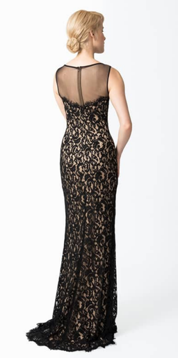 Tadashi Shoji Evening Gown for rent on The Volte - image 2