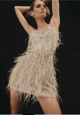 Rachel Gilbert Cynthia Mini Size 0 / AU 6 for rent on The Volte - image 6