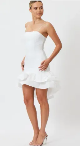 Reagan Mini Dress White by BIANCA AND BRIDGETT for rent on The Volte - image 2