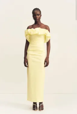 Campbell Strapless Bubble Maxi Dress - Lemonade for rent on The Volte - image 3