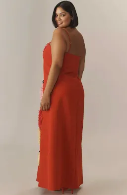 Elliatt Buttercup Embroidered Maxi Dress In Red size XL/ AU14-16 for rent on The Volte - image 5